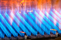 Arreton gas fired boilers